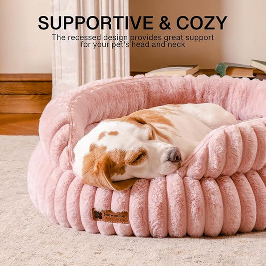 Fall Pet Health Tips: Keep Your Furry Friends Thriving with Pawver