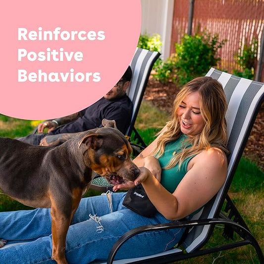 Proper Dog Walking Techniques