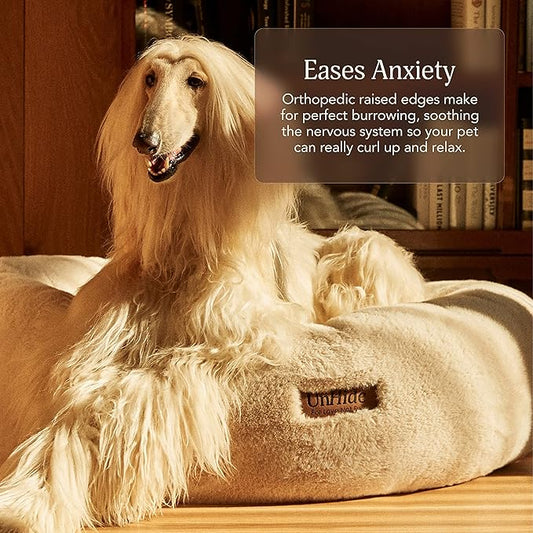 "Pet Grooming Tips: The Best Products for a Shiny Coat and Healthy Skin"