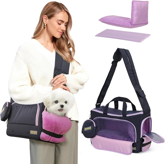 pet accessories