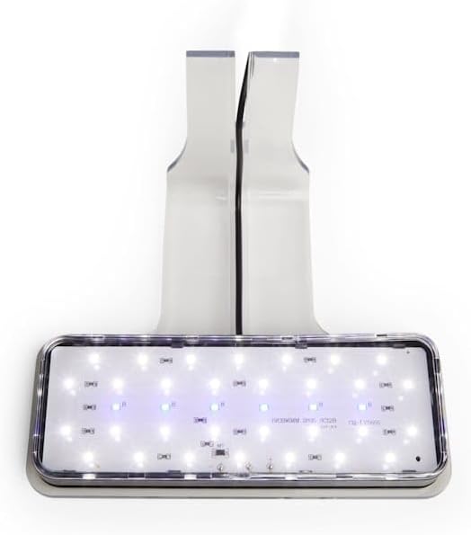 Imagitarium Glass Versa Aquarium 6.6 Gallons