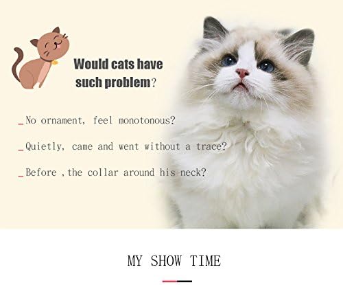 CHUKCHI Pink Soft Velvet Safe Cat Adjustable Collar with Crystal Heart Charm and Bells 8-11 Inches (Red)