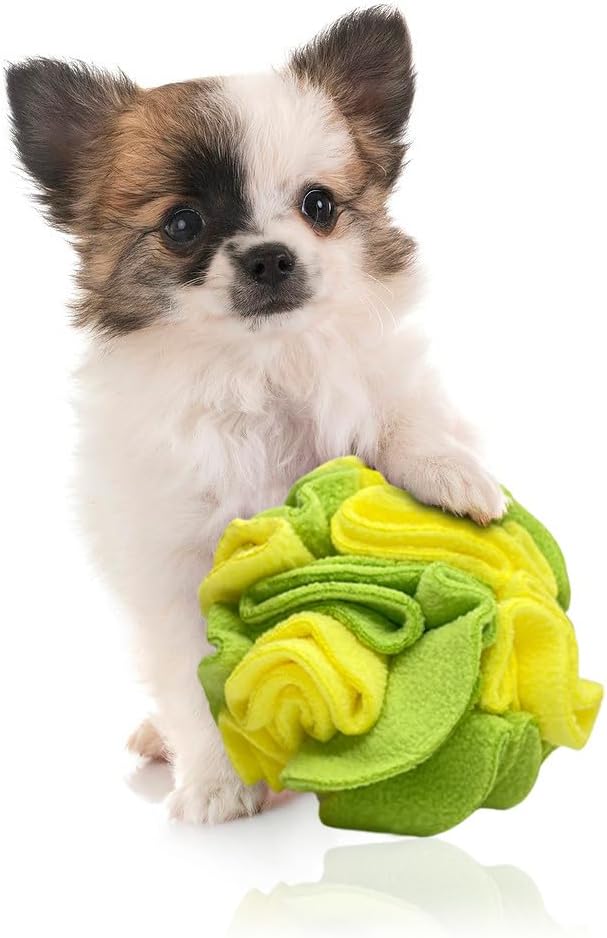 Puppy and Small Breed Snuffle Interactive Foraging Dog Puzzle Ball Toy Lemon Lime Yellow and Green