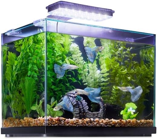 Imagitarium Glass Versa Aquarium 6.6 Gallons