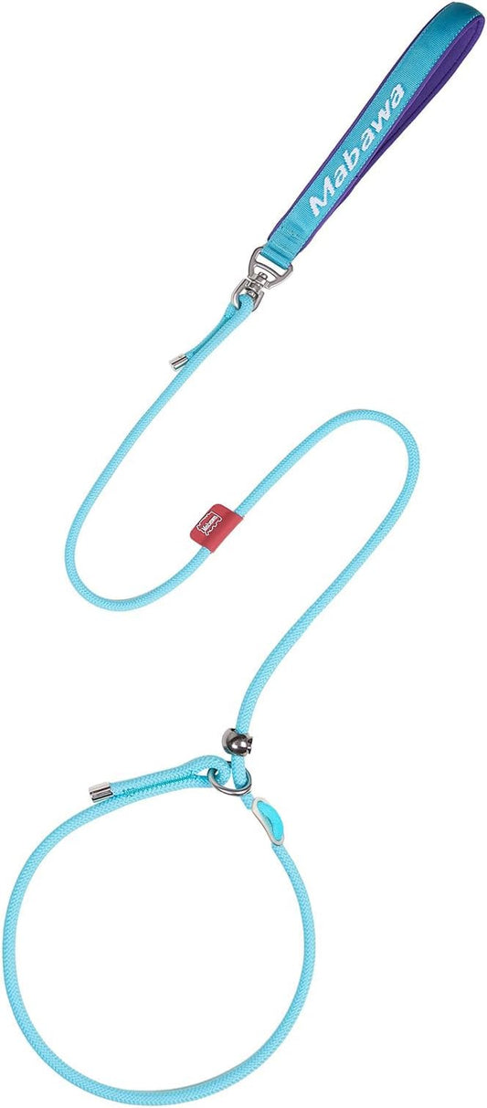 Dog Anti-Slip Leash 5FT with Metal Stopper - Durable No-Pull Training Lead for Small, Medium & Large Dogs - Comfortable Handle Nylon Rope, Tangle-Free Pet Walking Leash (Lake Blue, 5 FT)