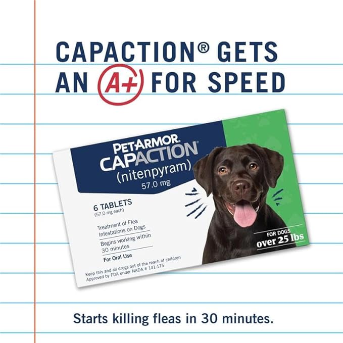 PetArmor CAPACTION (nitenpyram) Oral Flea Treatment for Dogs, Fast Acting Tablets Start Killing Fleas in 30 Minutes, Dogs Over 25 lbs, 6 Doses