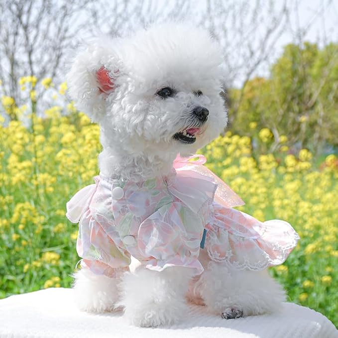 Pink Dog Dress for Small Dog Girl Spring Puppy Clothes with Bow Puff Sleeves Cat Outfit Doggy Princess with Leash Ring Doggies Harness Dress Summer Pet Apparel (Pink, Small)