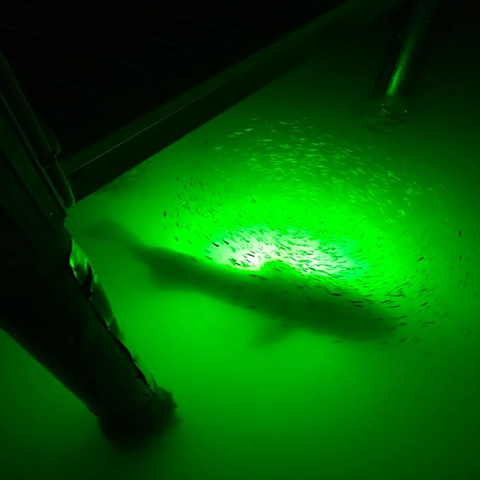 Underwater Fish Light 175-watt Single Dock Light for Fresh or Salt Water, Easy to Install, Attracts Fish, Dusk to Dawn Operation