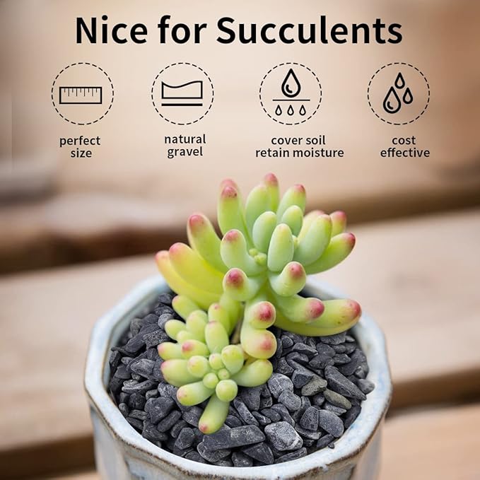 5lbs Black Pea Gravel, 3/8 Inch Decorative Pebbles Succulent Rocks, Black River Rocks Stones for Planters Vase Landscaping and Outdoor Garden Rock