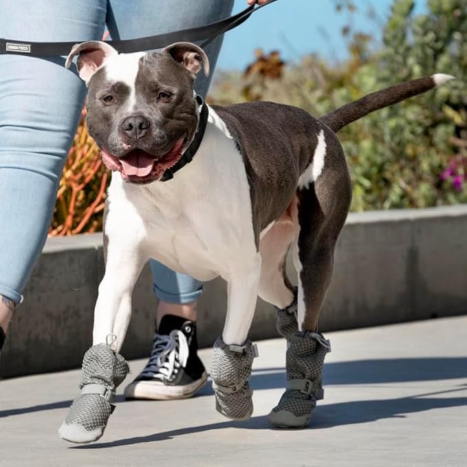 Canada Pooch Dog Boots for Hot Pavement - Dog Boots & Paw Protectors with Anti Slip Rubber | Water Friendly, Breathable Dog Shoes for Hot Days, Great for Dogs Grey - Size 4