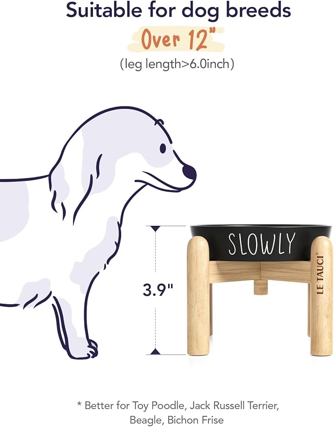 Ceramic Puzzle Slow Feeder Dog Bowl - 0.6 Cup Elevated with Wood Stand for Small Breeds, Black