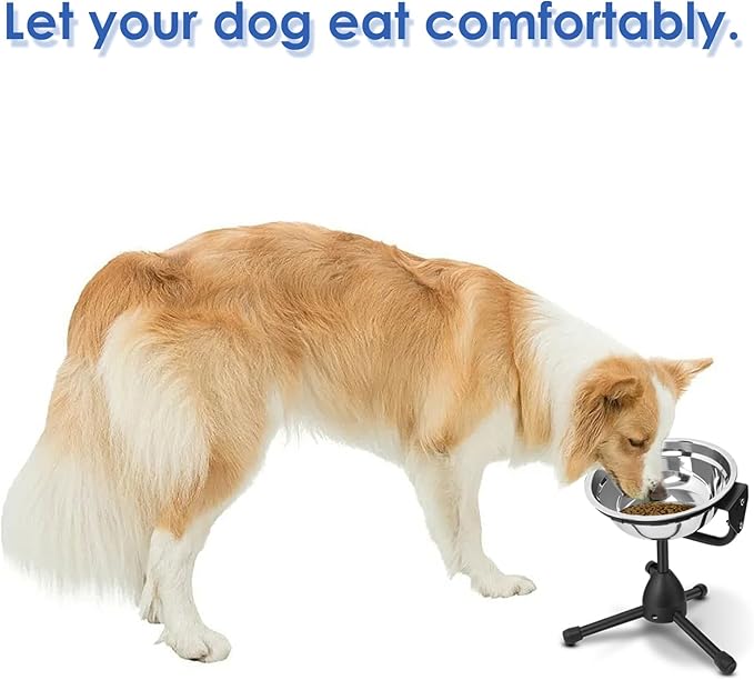 Elevated Dog Bowl with Adjustable Metal Stand, Medium Size for Dogs 30-70 lbs, 0.5 Gal 2 Liter, Stainless Steel Food & Water Bowl Set