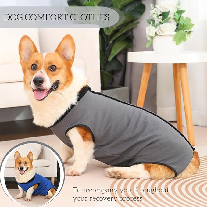 Dog Surgery Recovery Suit,Abdominal Surgical Suit for Dogs,Recovery Suit for Dogs,Prevent Licking Surgical Wound Dog Cone Alternative Grey XL