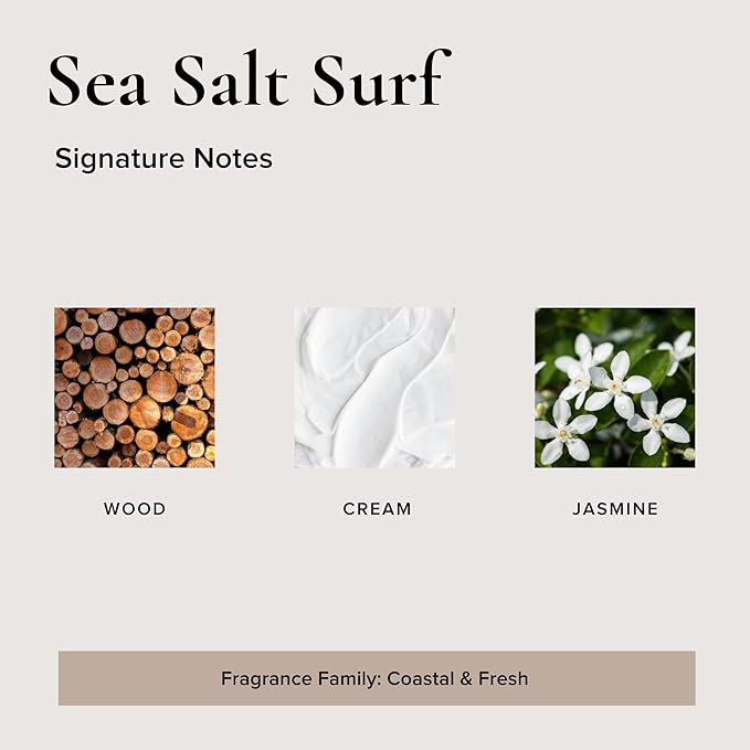 Broken Top Botanical Car Air Freshener Variety Pack, 6 Pack (2 Coconut Sandalwood, 2 Saguaro Cactus, 2 Sea Salt Surf)