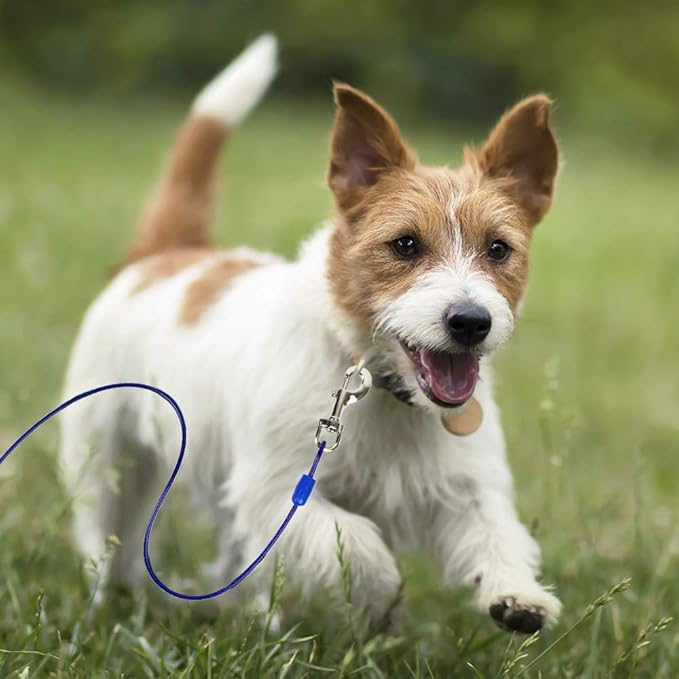 BV Dog Tie Out Cable 15 Feet - Heavy Duty Dog Lead Up to 60 Pounds - Reflective & Rust-Free with Quick Release Swivel Clips & 360° Rotating Clasp - Tangle-Free Dogs Runner for Yard (Blue, Single)