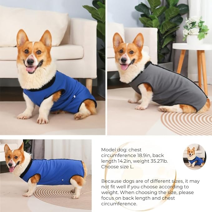 Dog Surgery Recovery Suit,Abdominal Surgical Suit for Dogs,Recovery Suit for Dogs,Prevent Licking Surgical Wound Dog Cone Alternative Grey L