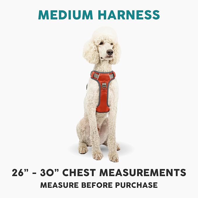 Embark Adventure Dog Harness, Reflective Trim No Pull Dog Harness Medium Sized Dogs - Military Grade Nylon, Front Clip with Gel Lined Handle.