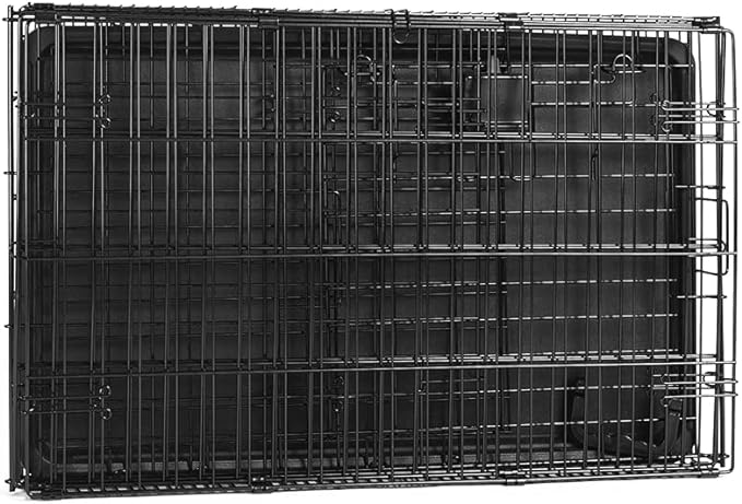 Amazon Basics Durable, Foldable Metal Wire Dog Crate with Tray, Single Door, 30 x 19 x 21 in, Black