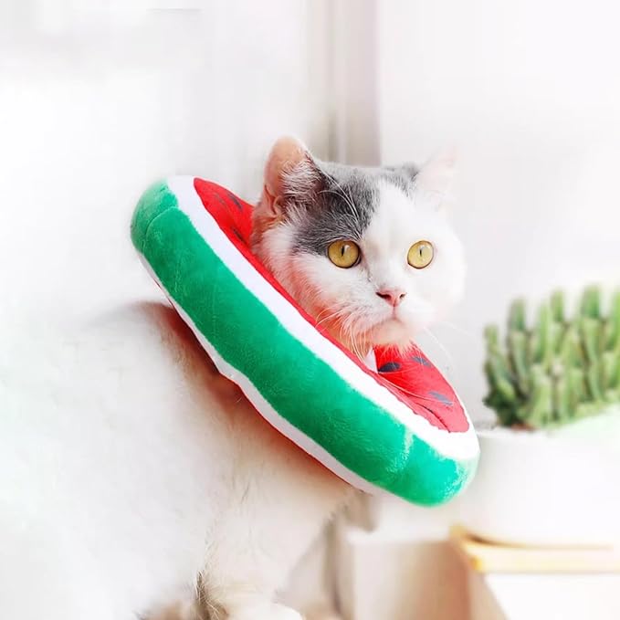 Cat Recovery Soft Collar, Waterproof Soft Recovery Collar. Anti-bite and Anti-Lick Wound Healing Safe Adjustable Elizabethan Collar.(S) Only for Cats up to 6 Months in Size