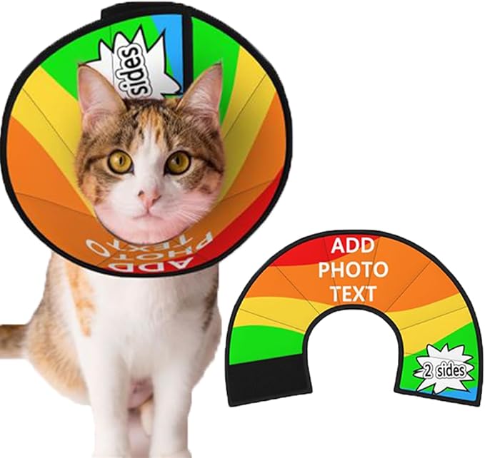 Custom Pet Cone Collar Lick Prevention Pet Recovery Collar for Neuter Safety Elizabethan Collar