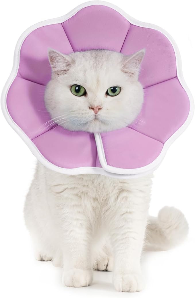 Avont Soft Cat Recovery Cone Collar, Adjustable Lightweight Kitten E-Collar for Small Dogs, Comfortable Neck Donut Stop Licking Scratching After Surgery -Purple(S)