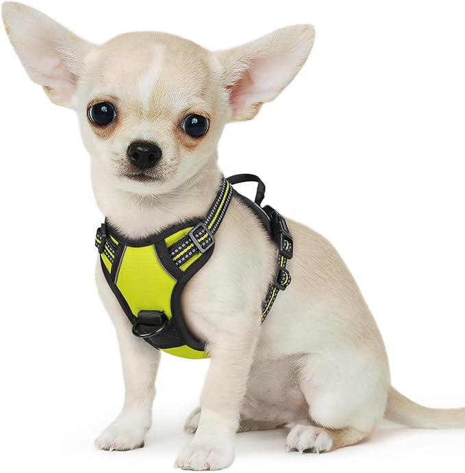Eagloo Small Dog Harness No Pull, Service Vest with Reflective Strips and Control Handle, Adjustable and Comfortable for Walking, No Choke Pet Harness with 2 Metal Rings, Green, XS