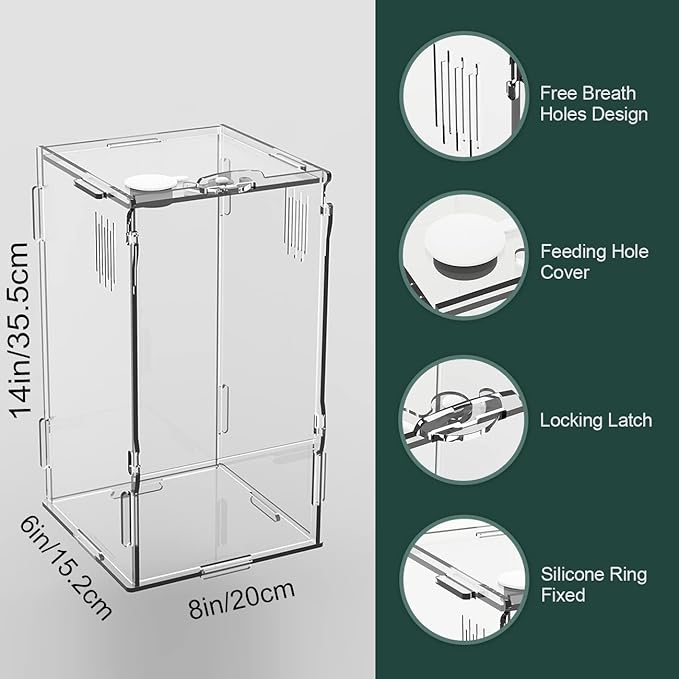 BETAZOOER Acrylic Mini Reptile Tank Habitat Transparent Terrariums with Locking Latch Suitable for Tarantula Isopod Roach Invertebrates (8''x6''x14'')