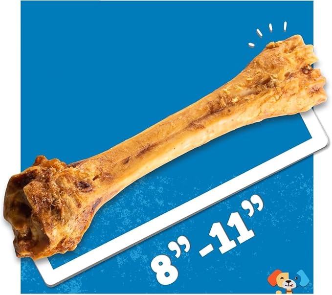 Jack&Pup 8-11” Shin Bones, Roasted Meaty Beef Bone for Dogs – Long Lasting Natural Dog Bones, Big Dog Bone for Large Dogs (1 Pack)