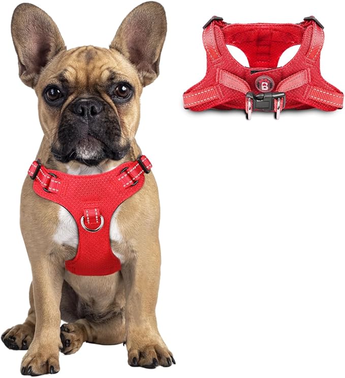 Dog Harness Step in Dog Vest Harness, Reflective Adjustable Puppy No Pull Harness Breathable Soft for Small and Medium Dogs Cats, Red, S