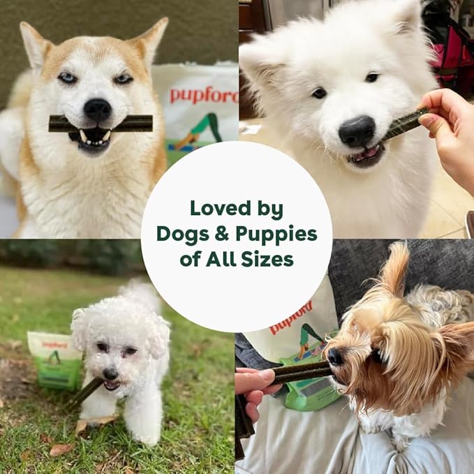 Pupford Dental Chews for Dogs, All-Natural 4-Inch Sticks for Plaque, Tartar & Bad Breath, Grooved Texture, Limited Ingredients, Made in USA (30 Count)