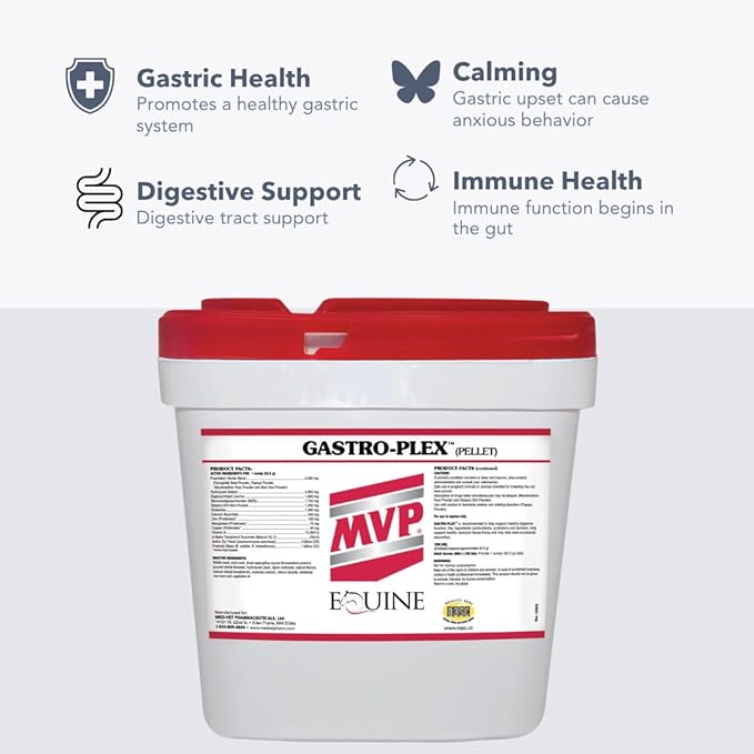 Gastro-Plex (6 lb) Supports Gut Health and Hindgut Digestion in Horses