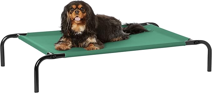 Amazon Basics Cooling Breathable Elevated Dog Bed with Metal Frame for Small Dogs, 36 x 22 x 7.5 Inch, Green