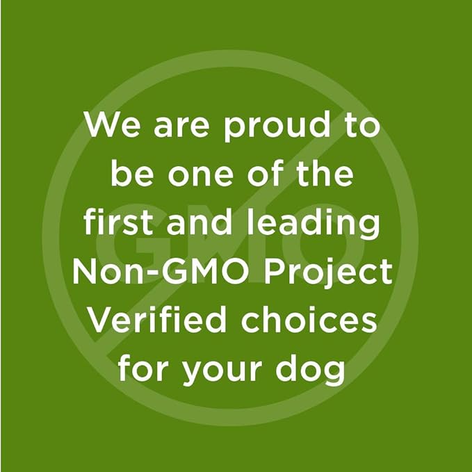 Organic Peanut Butter & Molasses Dog Treats – Healthy, Crunchy, Vegan Biscuits with Whole & Real Ingredients – All Natural & USA‐Baked, 4 Pound Bag