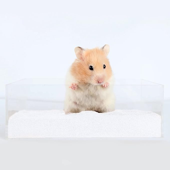 DR.DUDU Hamster Bath Sand, 6.6lb Dust Free Desert Sand or Potty Litter Sand for Hamster Chinchillas Gerbil Syrian Mice Small Animals (White)