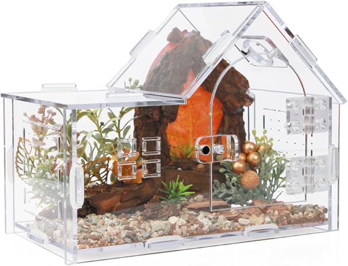 Acrylic Jumping Spider Enclosure - Versatile Reptile Enclosure with One-Click Magnetic Closure, Perfect for Tarantula, Gecko, Chameleon, Beetle, Mantis, and Hermit Crab