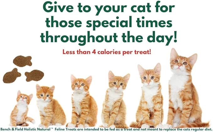Bench & Field Holistic Natural Healthy Kitty Cat Treats | Crunchy Fish-Shaped Bites | Delicious Seafood Flavored Snack, 3-Ounce (Pack of 6 Bottles)