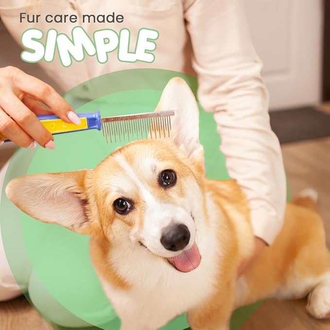 Best Shot Scentament Spa Seasonal Facial & Body Wash, Mango Maui, 16 oz