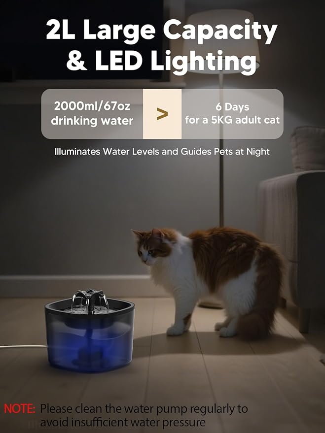 Automatic Cat Feeder and Water Fountain, 5L/20 Cups Timed Cat Dry Food Dispenser, 10s Meal Call, 20 Portions 6 Meals Per Day, 2L Cats Fountains for Drinking with Filter, Pet Feeder for Dog