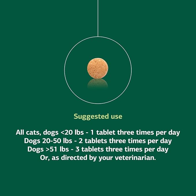 Standard Process Inc. VF Thymex for Pets - Cat & Dog Immune System Support Supplement - Thymus Supplement to Aid Canine & Feline Immune Health - Supplement with Vitamin C - 90 Tablets