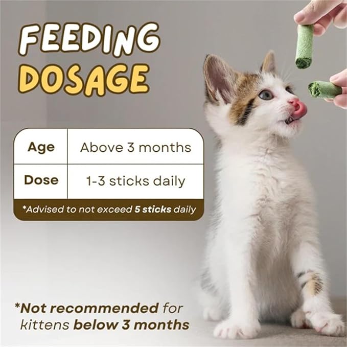 Primeco Cat Grass Teething Stick, Natural Grass Molar Rod Made of Chicken & Cat Grass, 6 PCS Per Bag for Cat Indoor Teeth Cleaning, Hairball Removal, Dental Care, Increase Appetite (6 pcs)