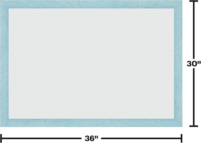 BV XXL Puppy Pads 40 Count 30" x 36" - Leak-Proof Pee Pads for Dogs with 6-Layer Design, Rapid Dry Sheet & Attractant - Dog Pad Extra Large with Odor Control - Perfect for Big Dogs & Indoor Use