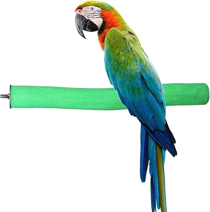 Bird Perch Rough-surfaced Nature Wood Stand Toy Branch for Parrots