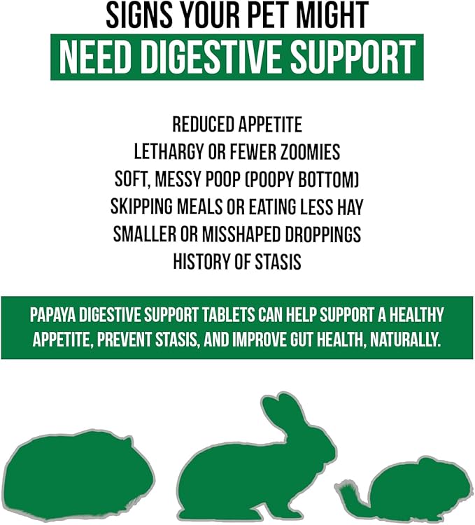 Digestive Support, Papaya by Sherwood Pet Health (100 Tablets - 60 Grams). Contains Natural Motility Herbs That Regulate The Digestive Tract, Improve The Gut microbiome and Stimulate The Appetite.