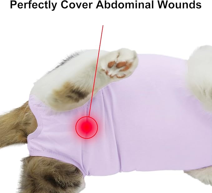 Cat Recovery Suit, Surgical Recovery Clothes for Abdominal Wound or Skin Disease, Cats Onesie After Surgery and Spay, E-Collar Alternative Pajama Suit (Purple, Small)