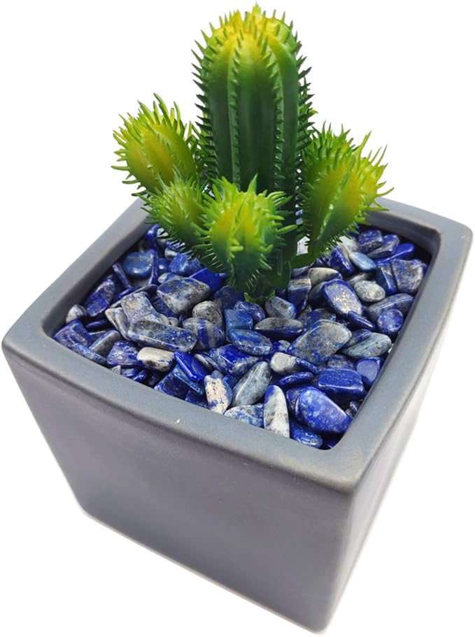 WAYBER 2 Lbs/920g Deep Blue Lapis Lazuli Pebbles Irregular Decorative Stones Natural Crystal Rock Gravel for Aquarium/Fish Turtle Tank/Succulent Plants/Air Plants Decoration (Fill 1.8 Cups)