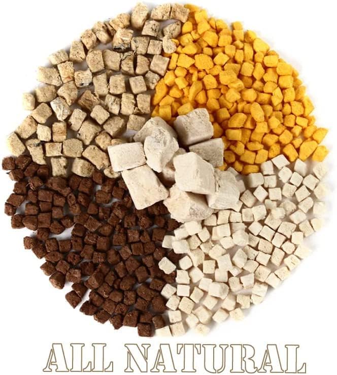 Organic Freeze Dried Dog & Cat Treats - Single Ingredient, Grain Free Food Toppers for Healthy Pets, No Fillers or Preservatives (1 Bag, Salmon)