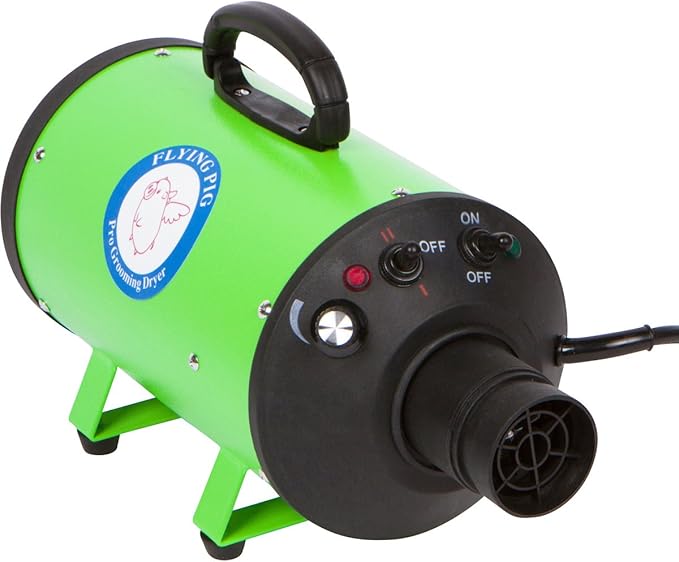 Flying Pig High Velocity Dog Pet Grooming Dryer w/Heater (Model: Flying One, Green)