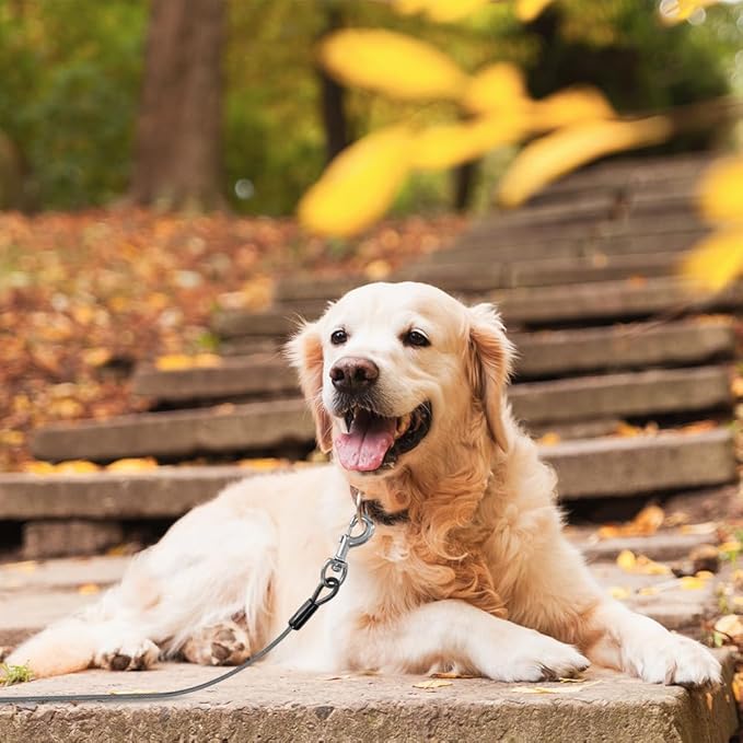 BV Dog Tie Out Cable 25 Feet - Heavy Duty Dog Lead Up to 250 Pounds - Reflective & Rust-Free with Quick Release Swivel Clips & 360° Rotating Clasp - Tangle-Free Dogs Runner for Yard (Grey, Pair)