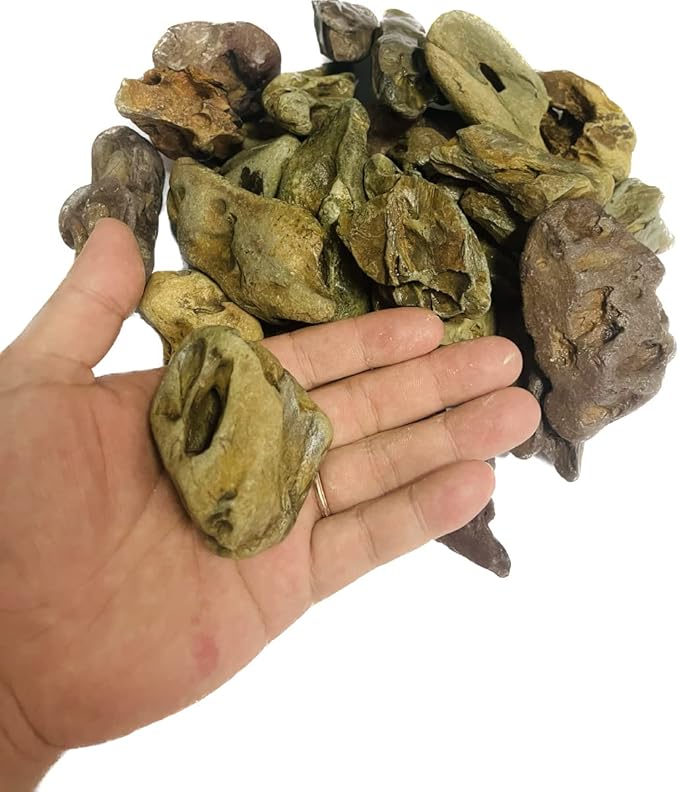 Natural Stone Aquarium Decoration 4.4 lb Dragon Stone Aquascaping Rock Mixed Sizes for Micro Landscape Fish Tank Decor