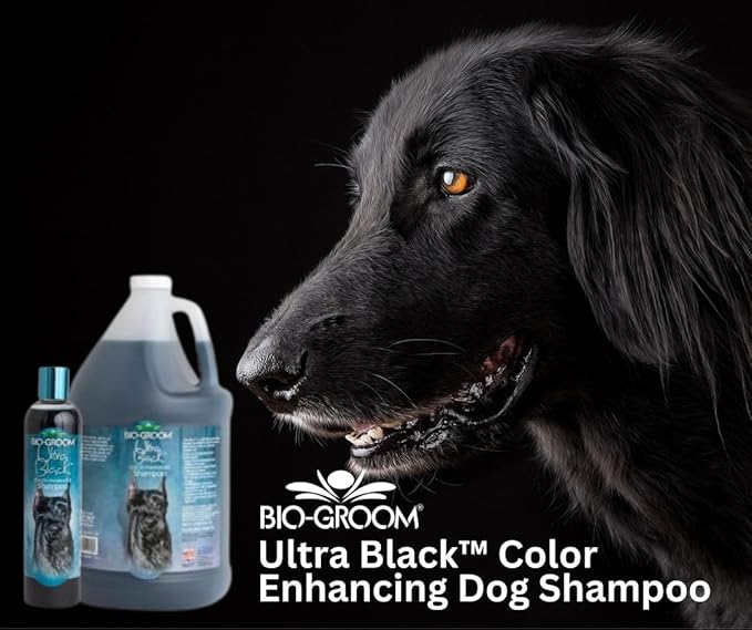 Bio-Groom Ultra-Black Dog Shampoo – Color Enhancing Pet Shampoo, Dog Bathing Supplies, Puppy Wash, Dog Grooming Supplies, Cruelty-Free, Made in USA, Coat Brightener Shampoo – 12 fl oz 1-Pack